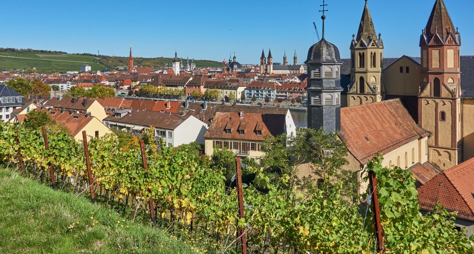 Würzburg Reben Dächer, © Getty Images Tomekbudujedomek