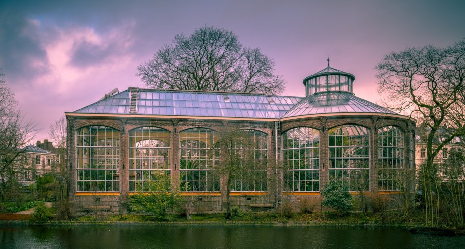Bahnhit Amsterdam Hortus Botanicus Gewächshaus, © gettyimages Rudmer Zwerver