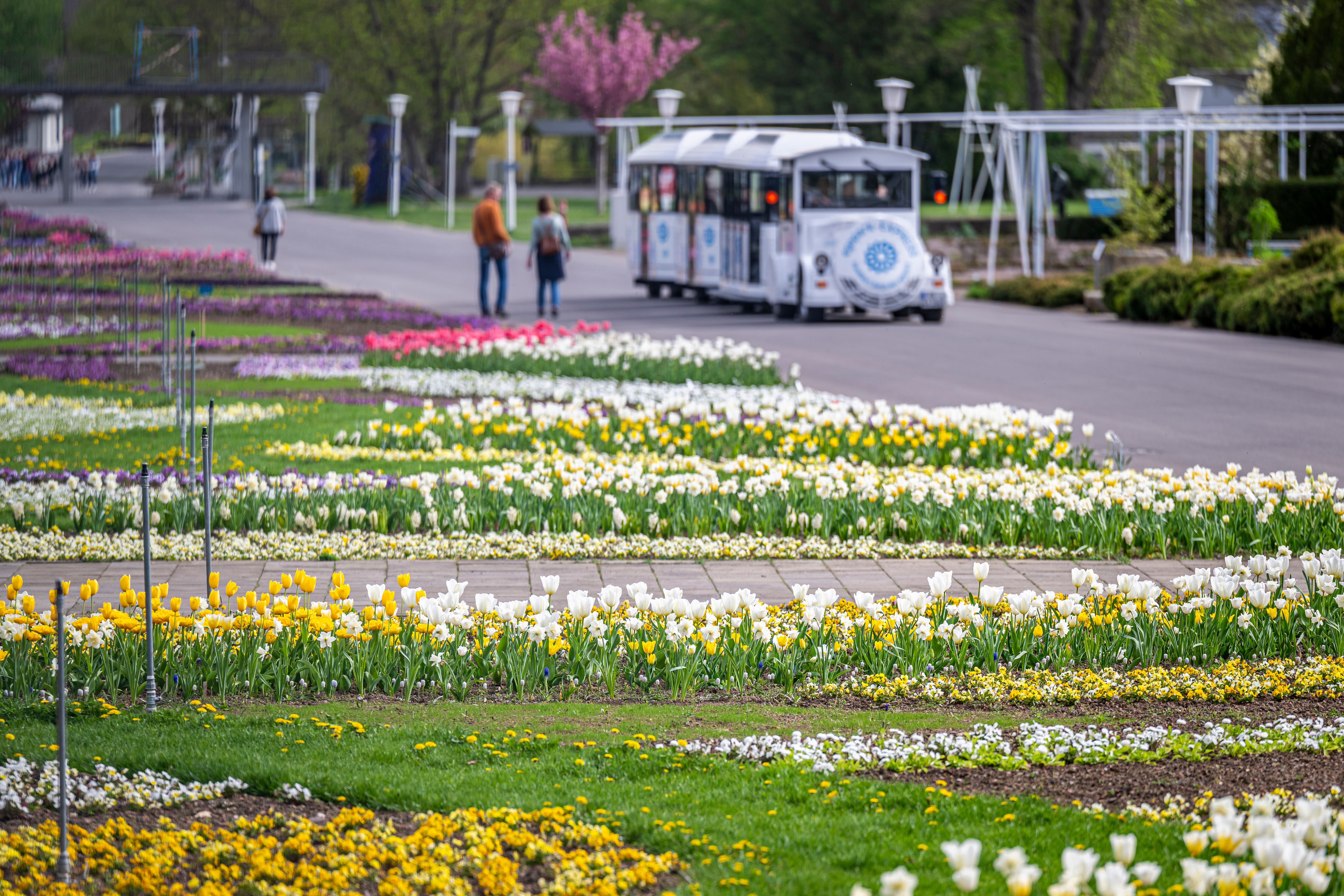 Blumengarten und Bimmelbahn im egapark Erfurt