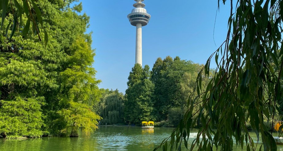 Mannheim Sicht auf Fernmeldeturm von Luisenpark, © Getty Images Sevda Ercan; 