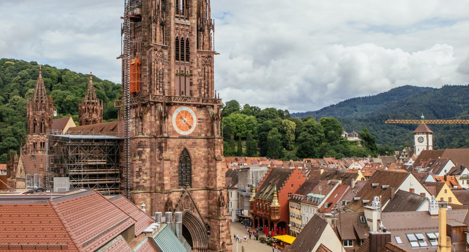 Freiburg Dächer Münster, © Getty Images FLAMINIA PELAZZI