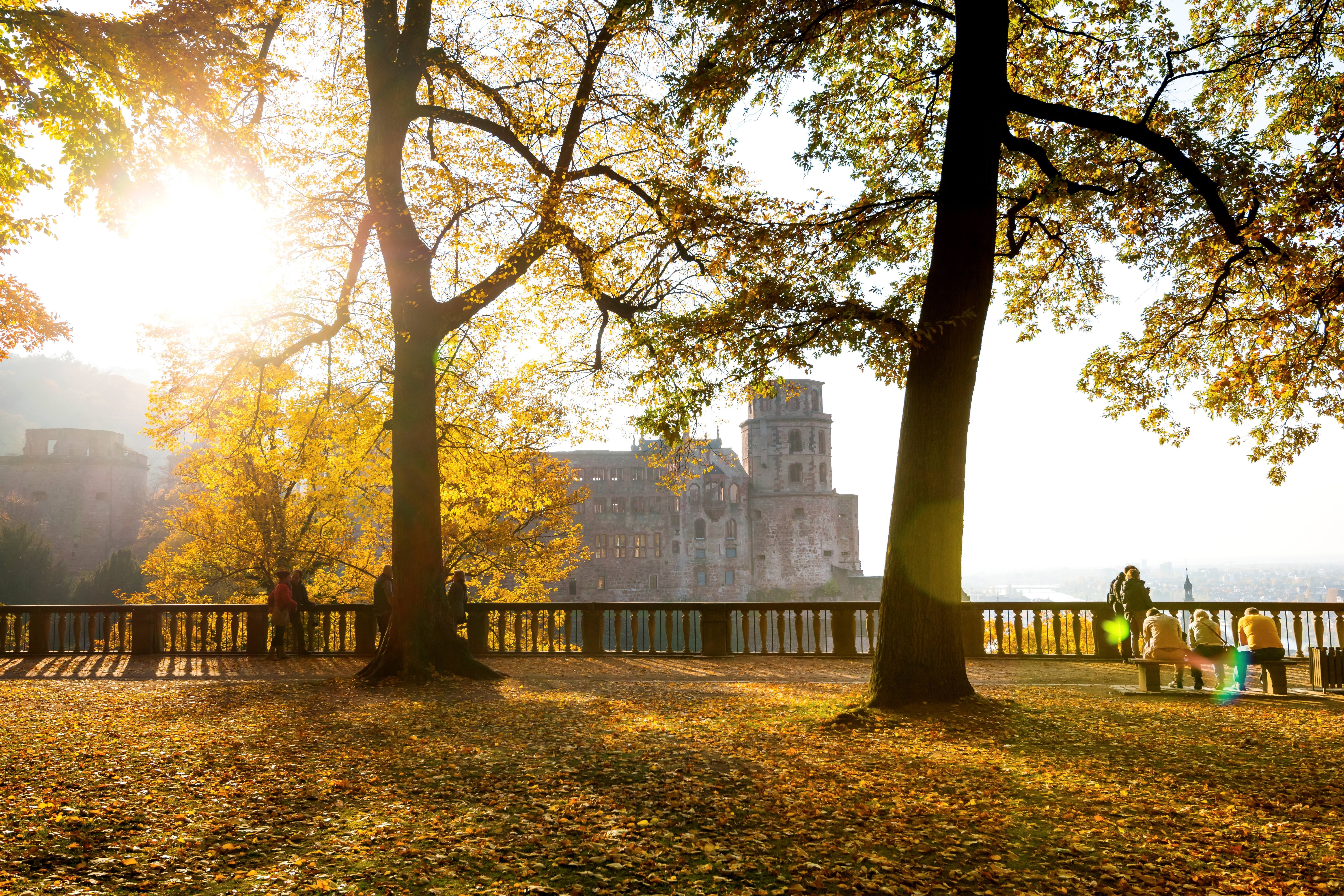 Schlossgarten im Heidelberger Schloss im Herbst