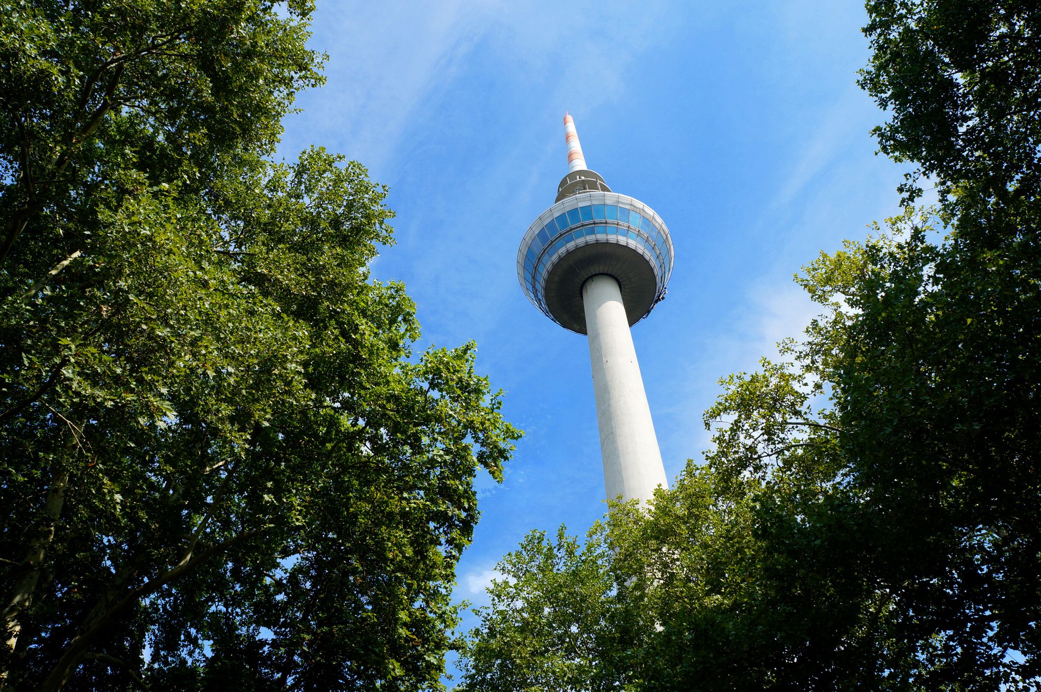 Blick auf den Fernmeldeturm durch Blätter von Bäumen bei blauem Himmel