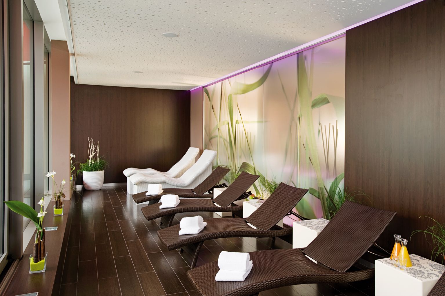 Wellness