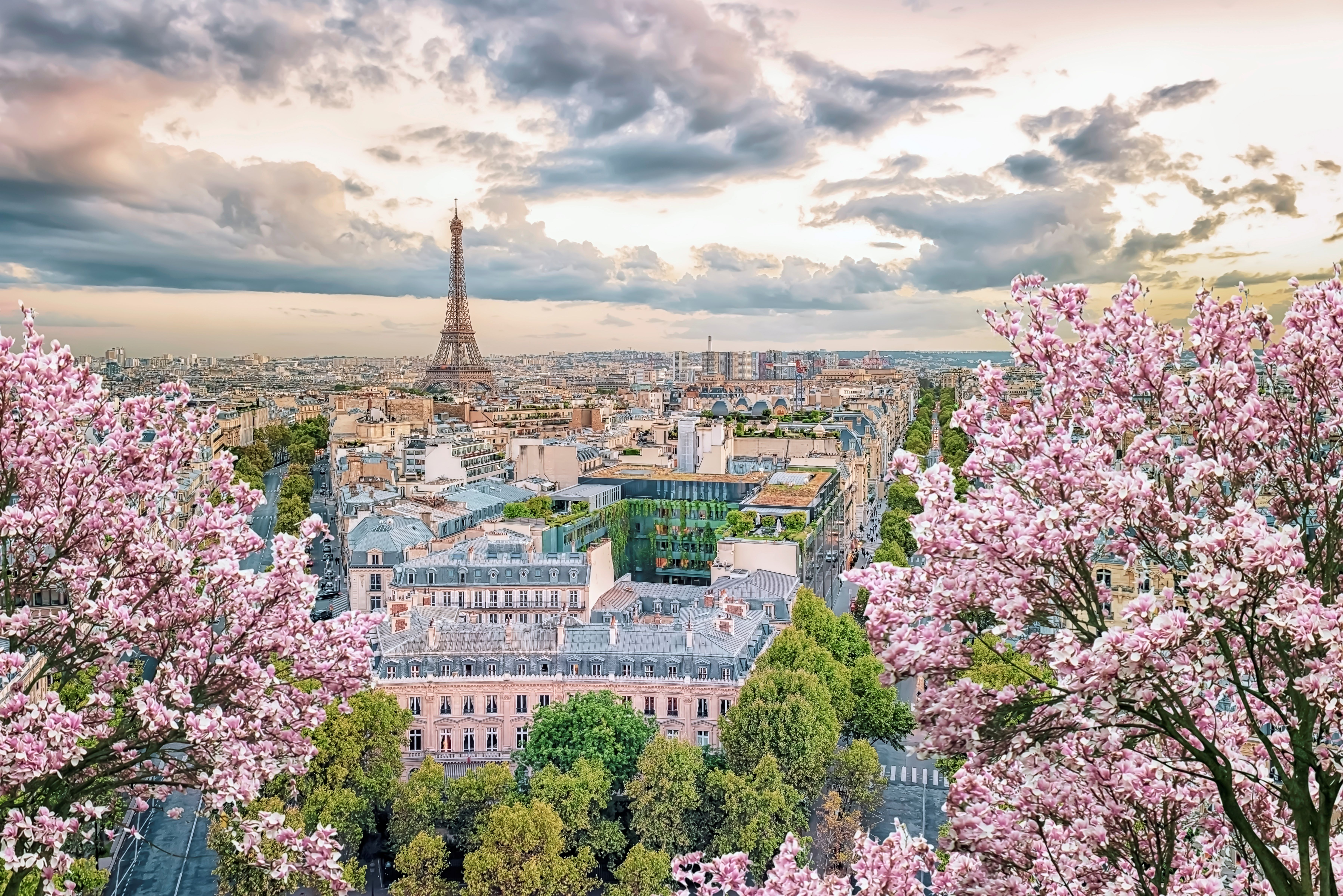 Kirschblüten in Paris mit Blick auf den Eiffelturm und die Innenstadt