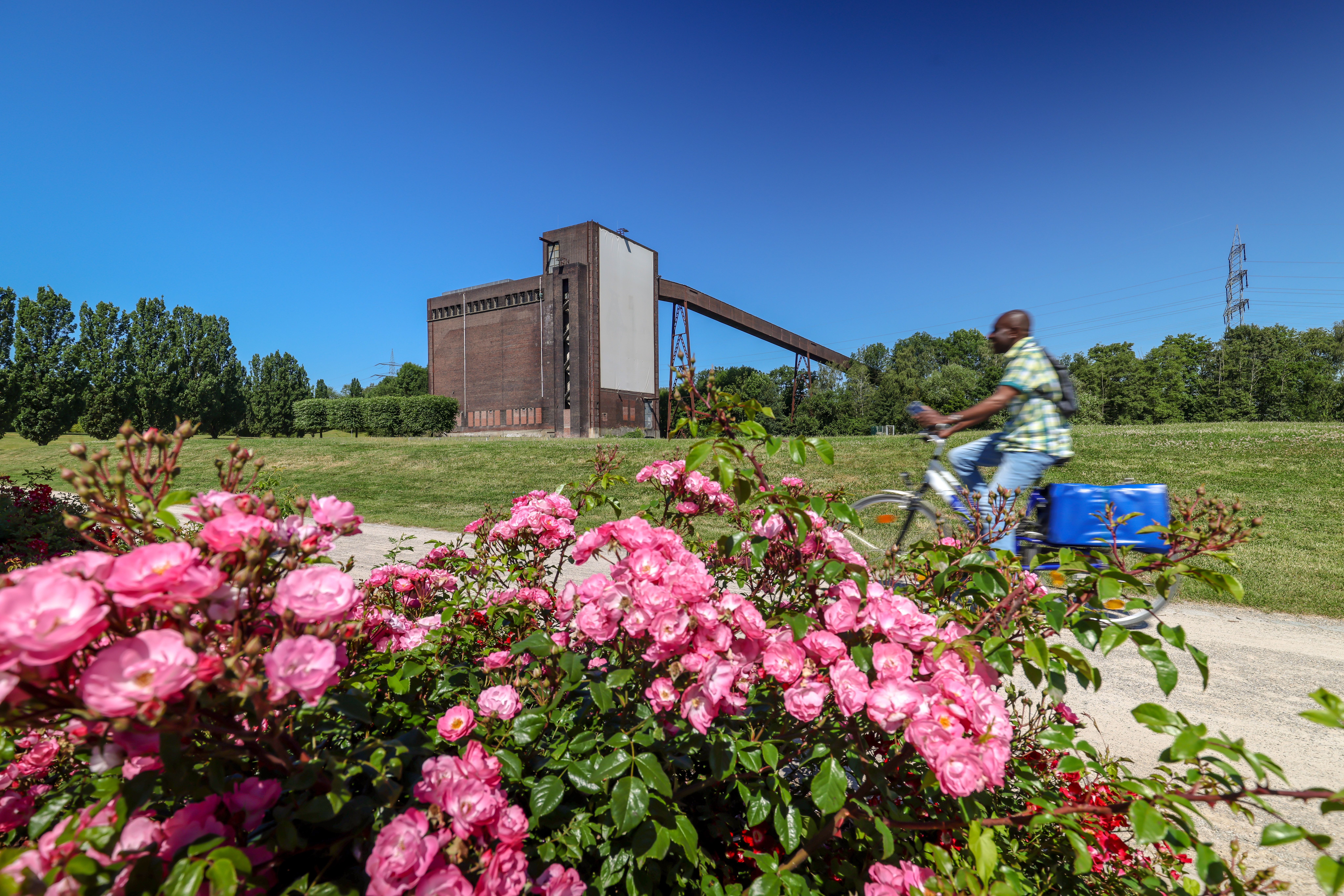 GE_BLumen_IGA_Oberhäuser