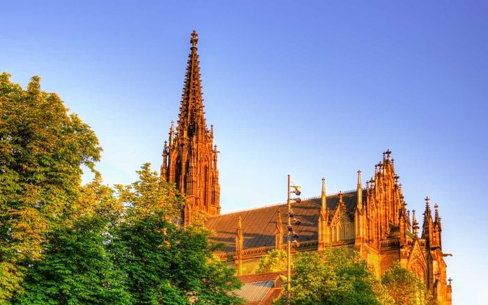 Basler Münster im Sonnenlicht hinter Baumkronen