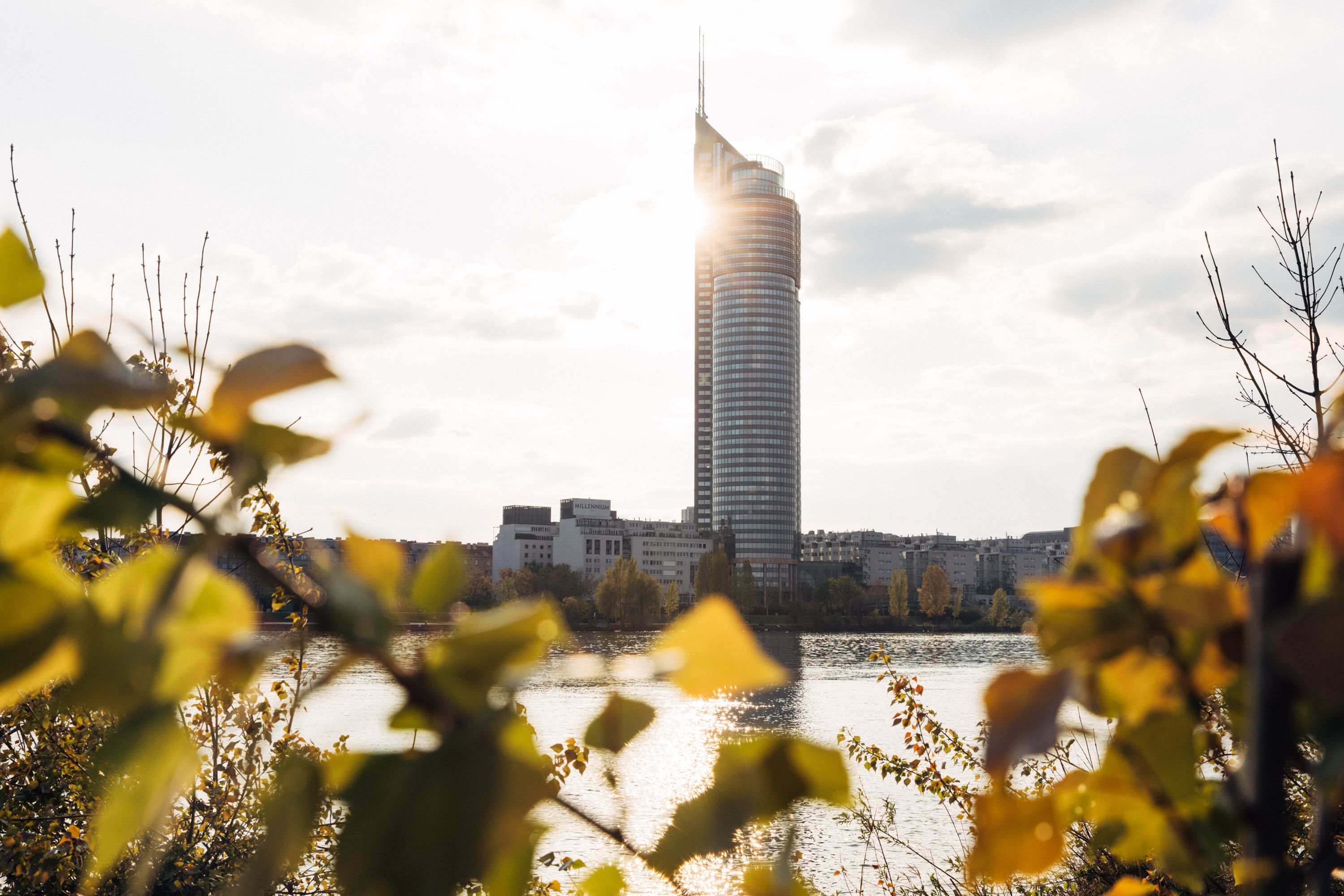 Millennium Tower Blätter