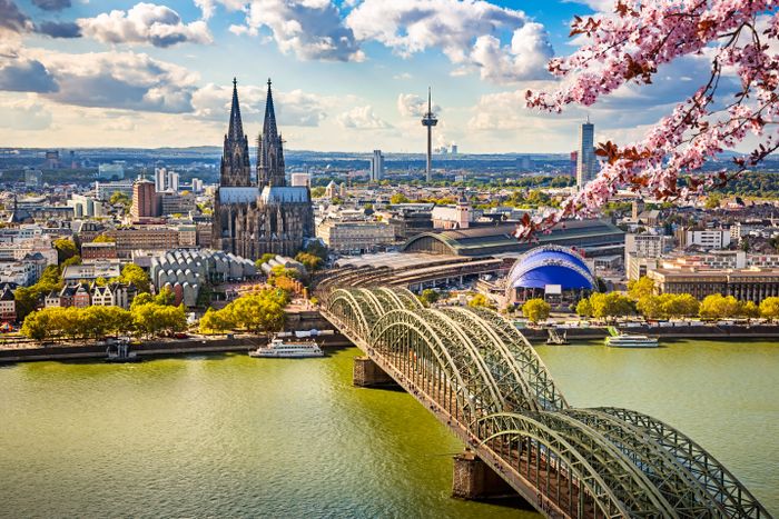 Panoramablick auf den Kölner Dom, den Rhein und die Hohenzollernbrücke, mit Kirschblüten im Frühling