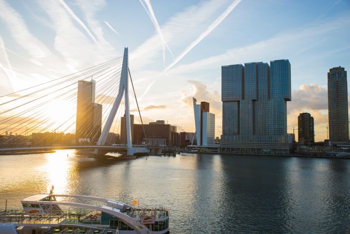 Erasmus Brücke in Rotterdam bei Sonnenuntergang