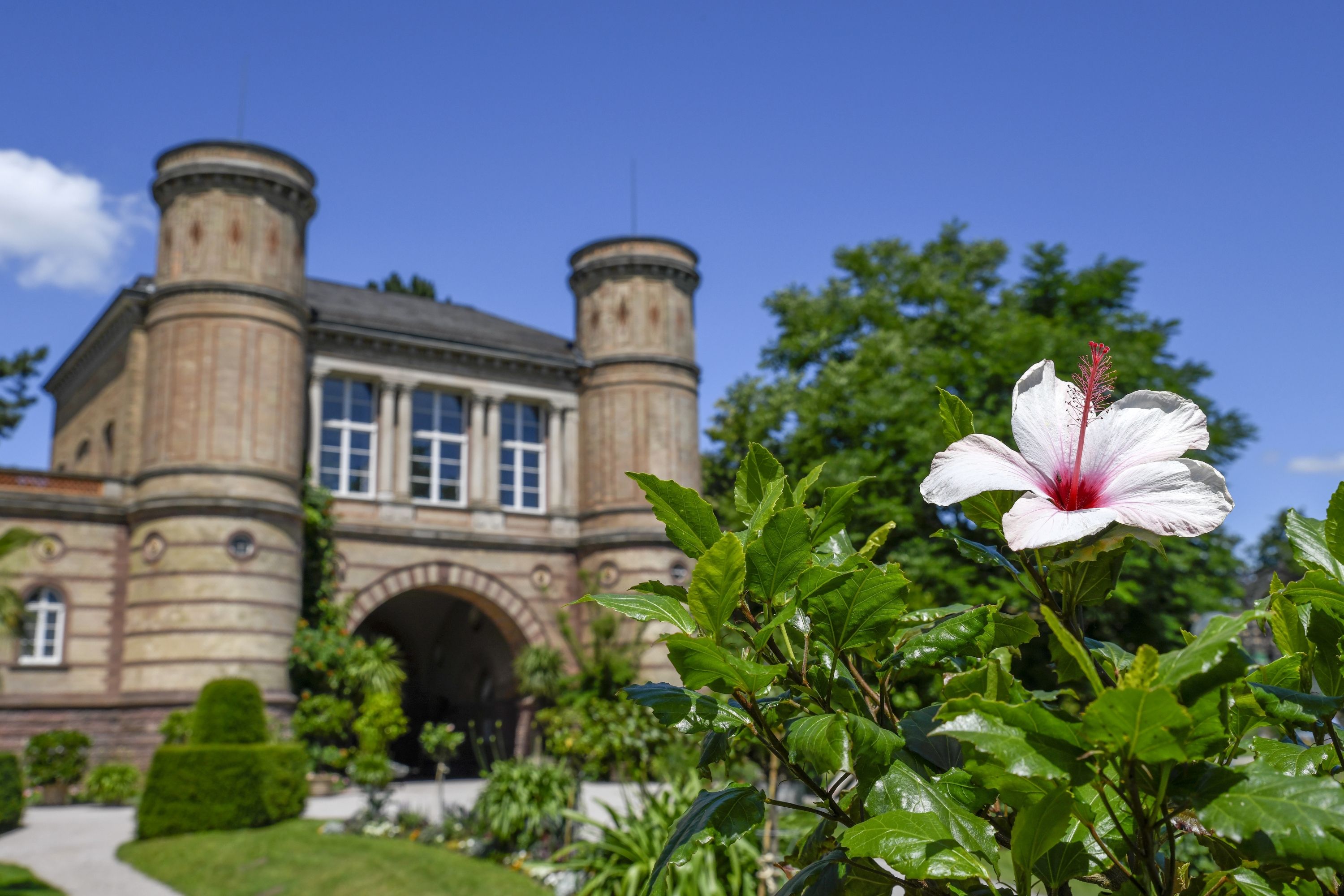 Botanischer Garten mit Tropenhaus in Karlsruhe