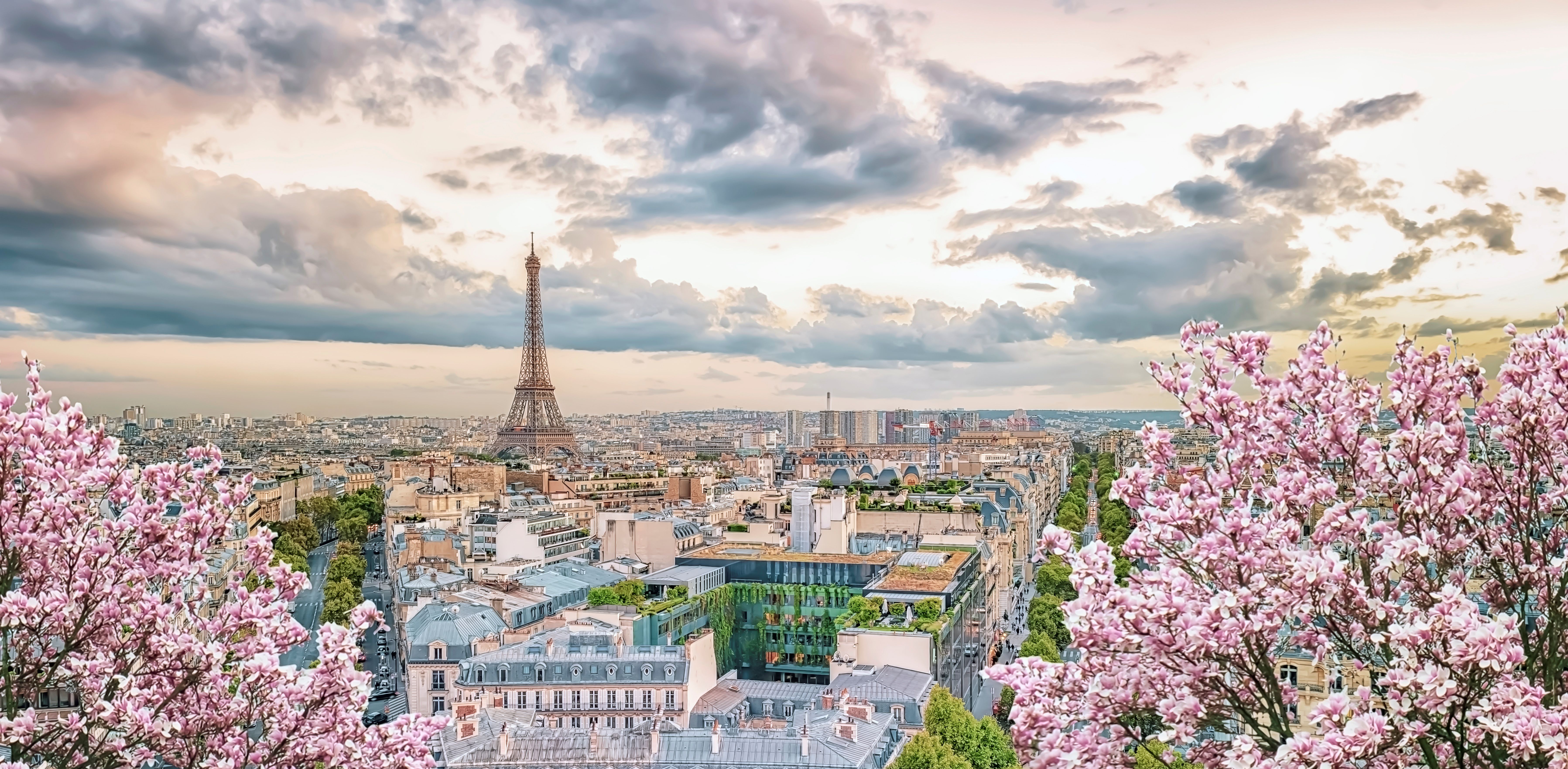 Kirschblüten in Paris mit Blick auf den Eiffelturm und die Innenstadt