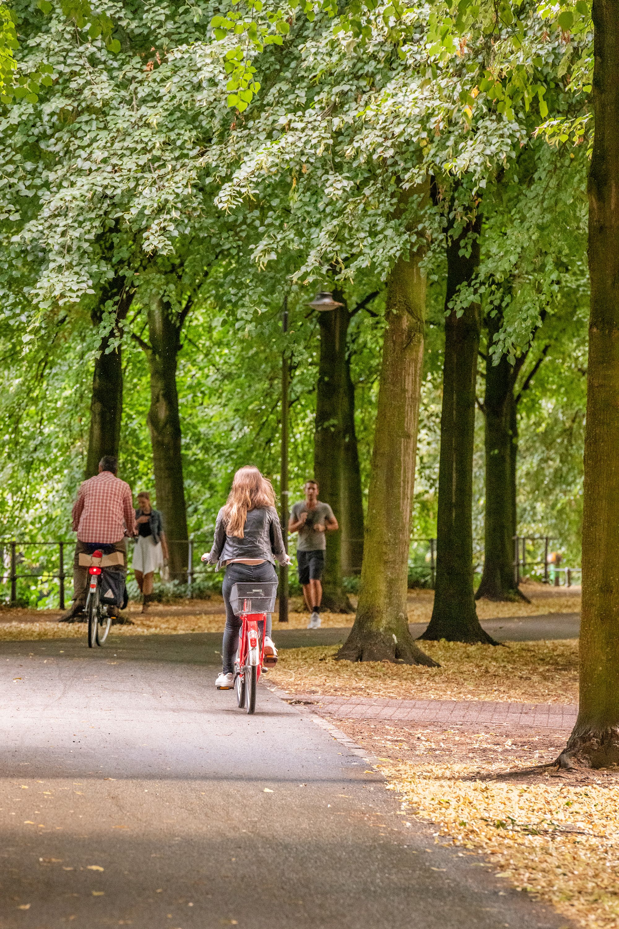 Fahrradfahrer an Promenade in Münster