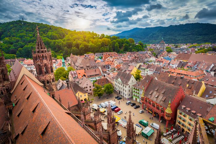 Blick auf Dach des Münster, Markt und Kaufhaus in Freiburg mit grünen Bergen im Hintergrund