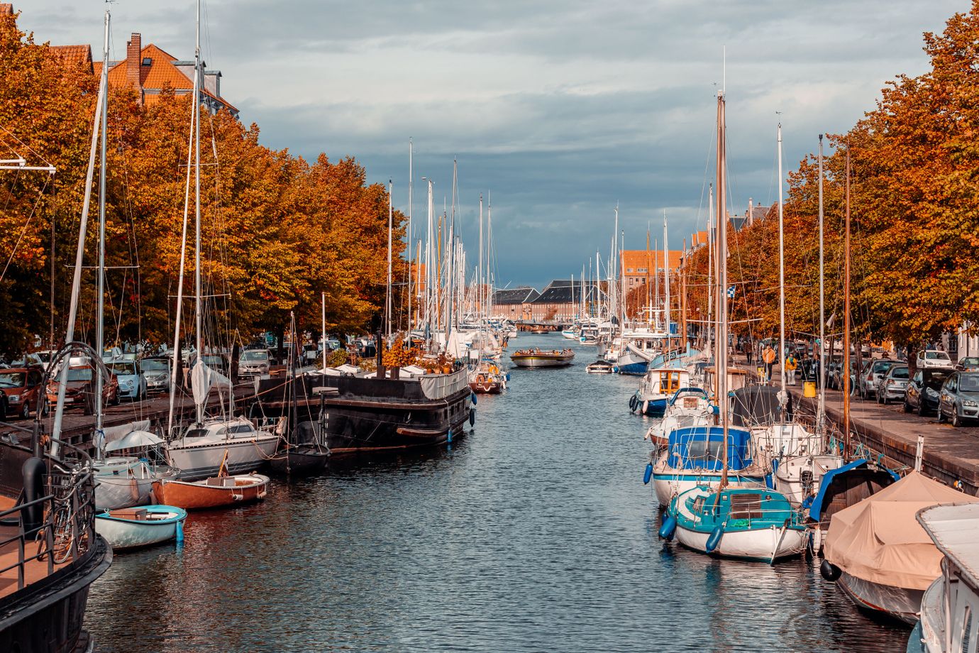 Hafen in Kopenhagen mit vielen Schiffen und herbstlich gefärbtem Lauf
