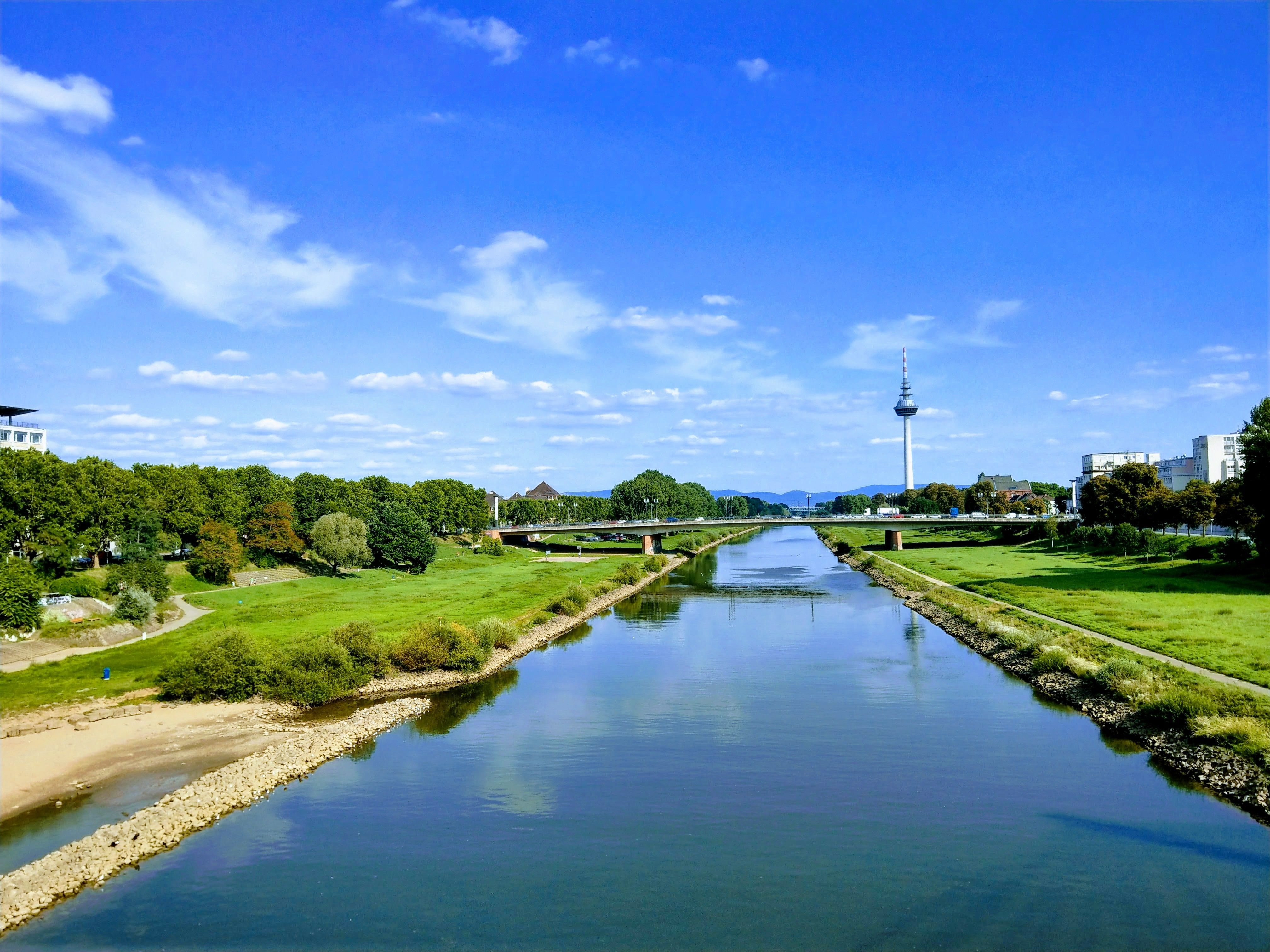 Neckars und grüne Ufer in Mannheim, Fernmeldeturm im Hintergrund