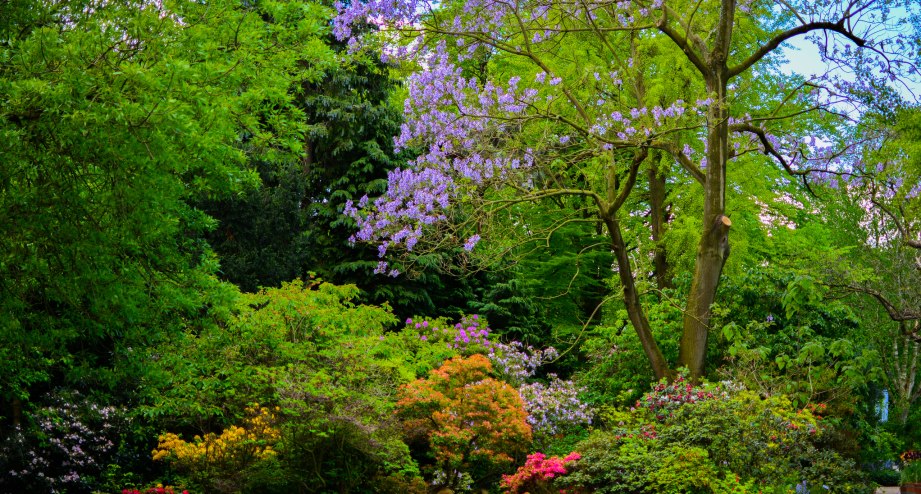 Bahnhit Amsterdam Hortus Botanicus, © gettyimages Devansh Patel