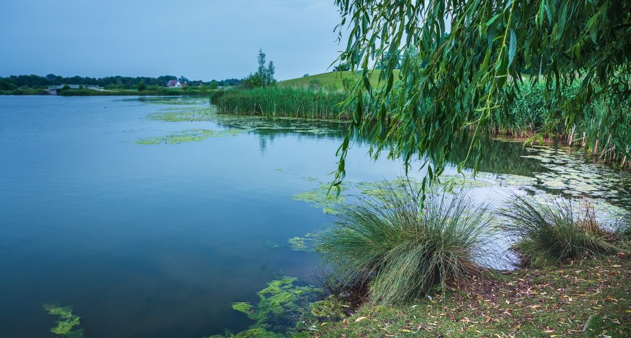 Der Goldbergsee in Coburg - BAHNHIT.DE, © GettyImages, Foto: Val Thoermer