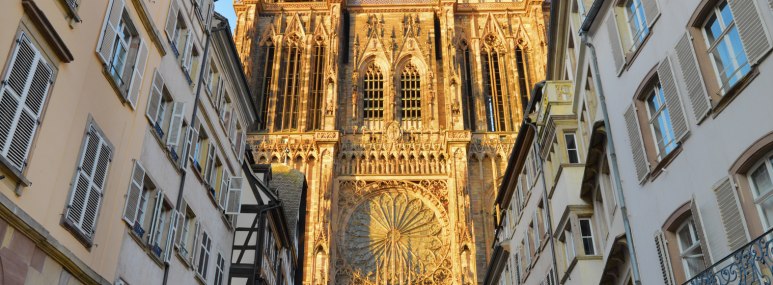 © GettyImages, Shaun Egan