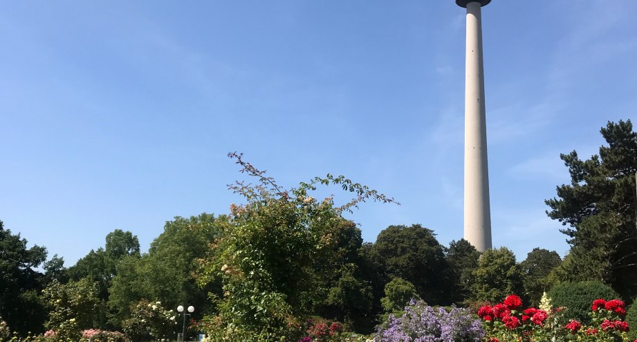 Dortmund Park, © Getty Images Markus Schmid / EyeEm