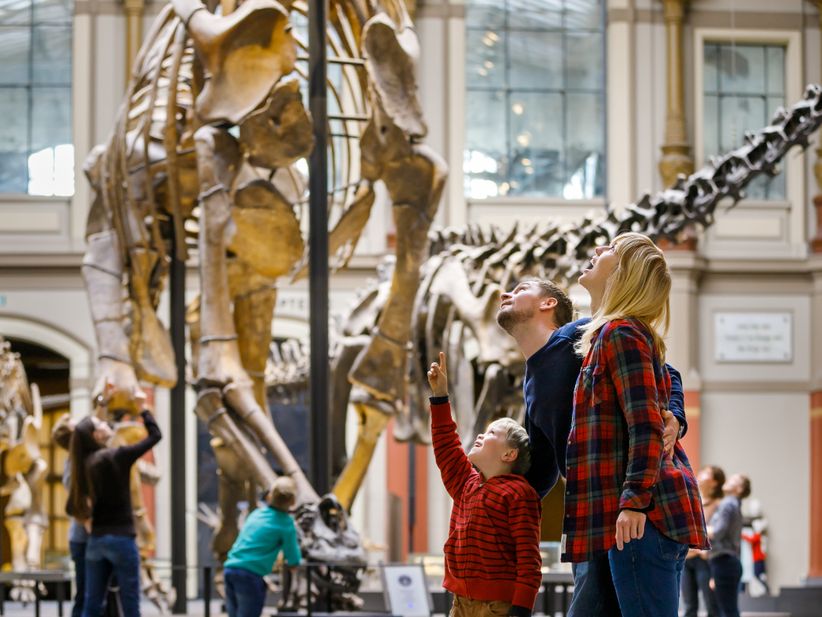 Familie schaut hoch zu einem Dinosaurierskelett aus dem Naturkundemuseum