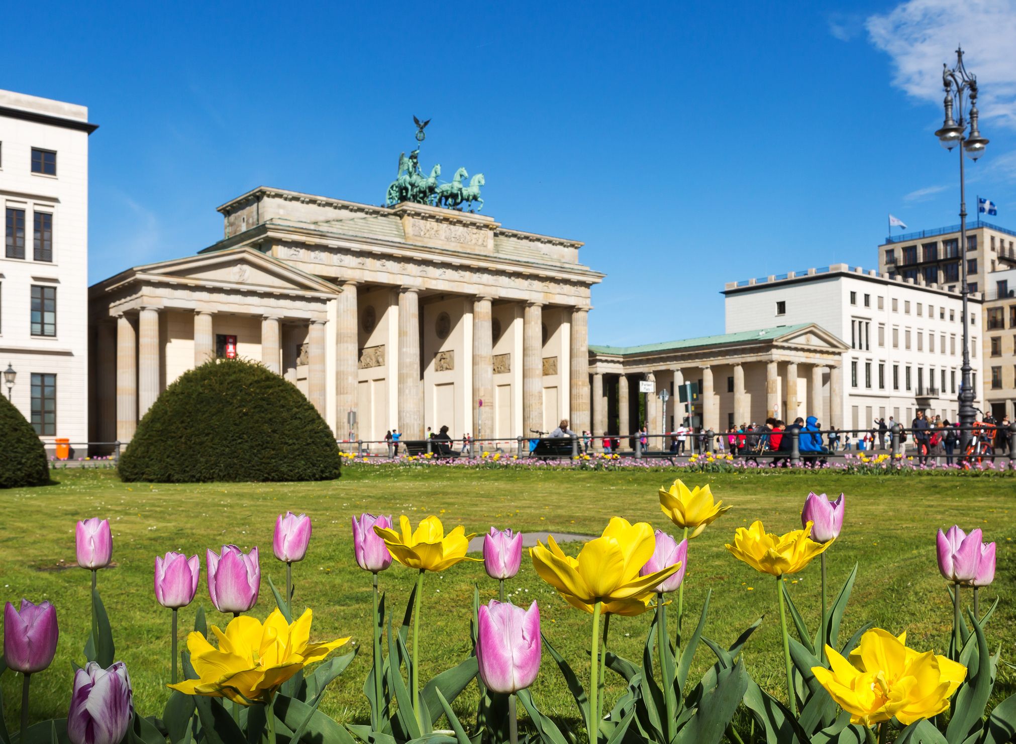 seitlicher Blick aufs Brandenburger Tor in Berlin mit Tulpen im Vordergrund