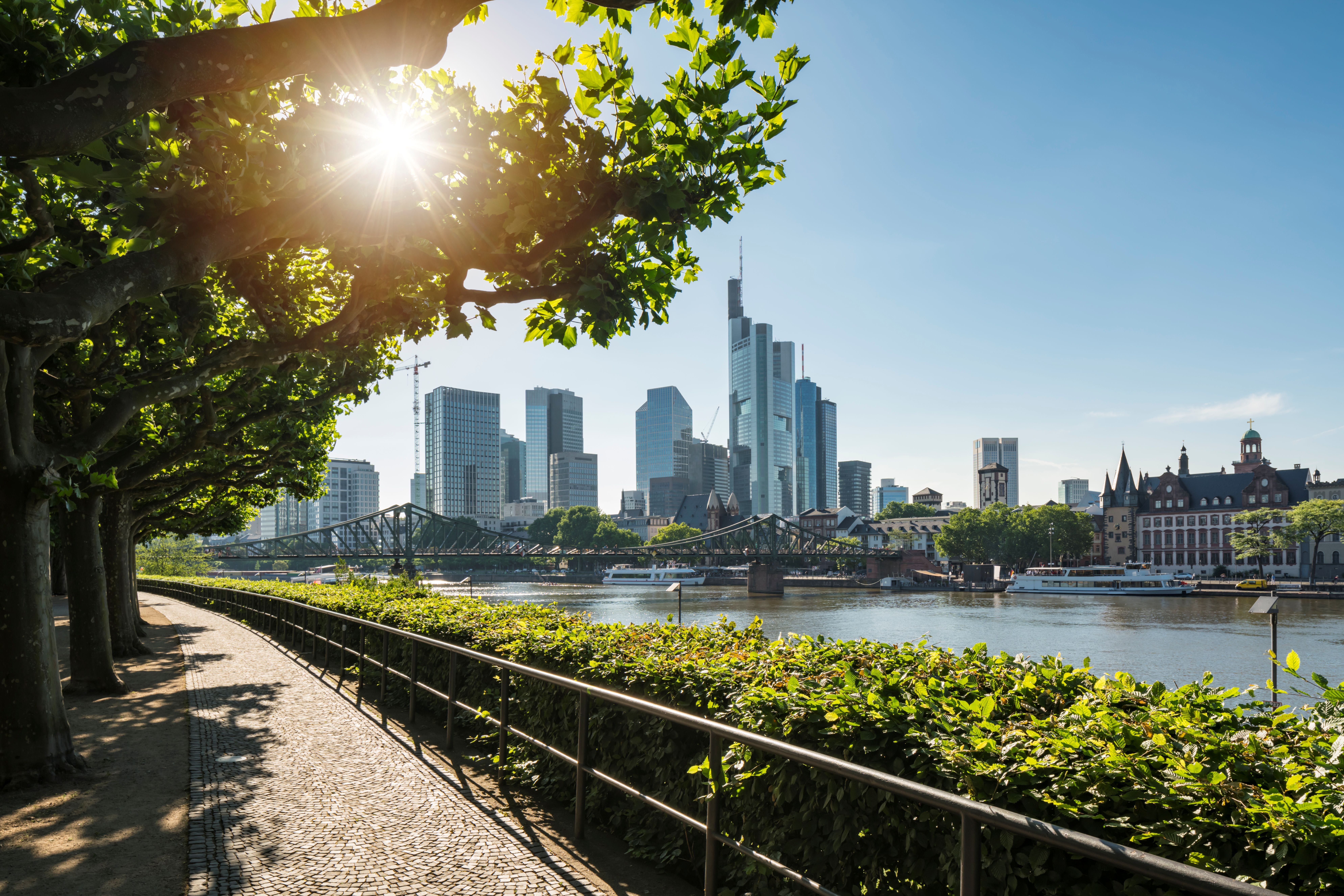 Uferweg am Main mit Skyline von Frankfurt im Hintergrund