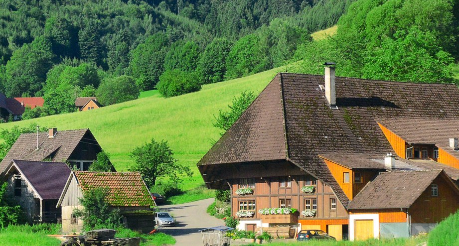 Typischen Schwarzwaldhaus - BAHHNHIT.DE, © getty, Foto: Serg_Velusceac