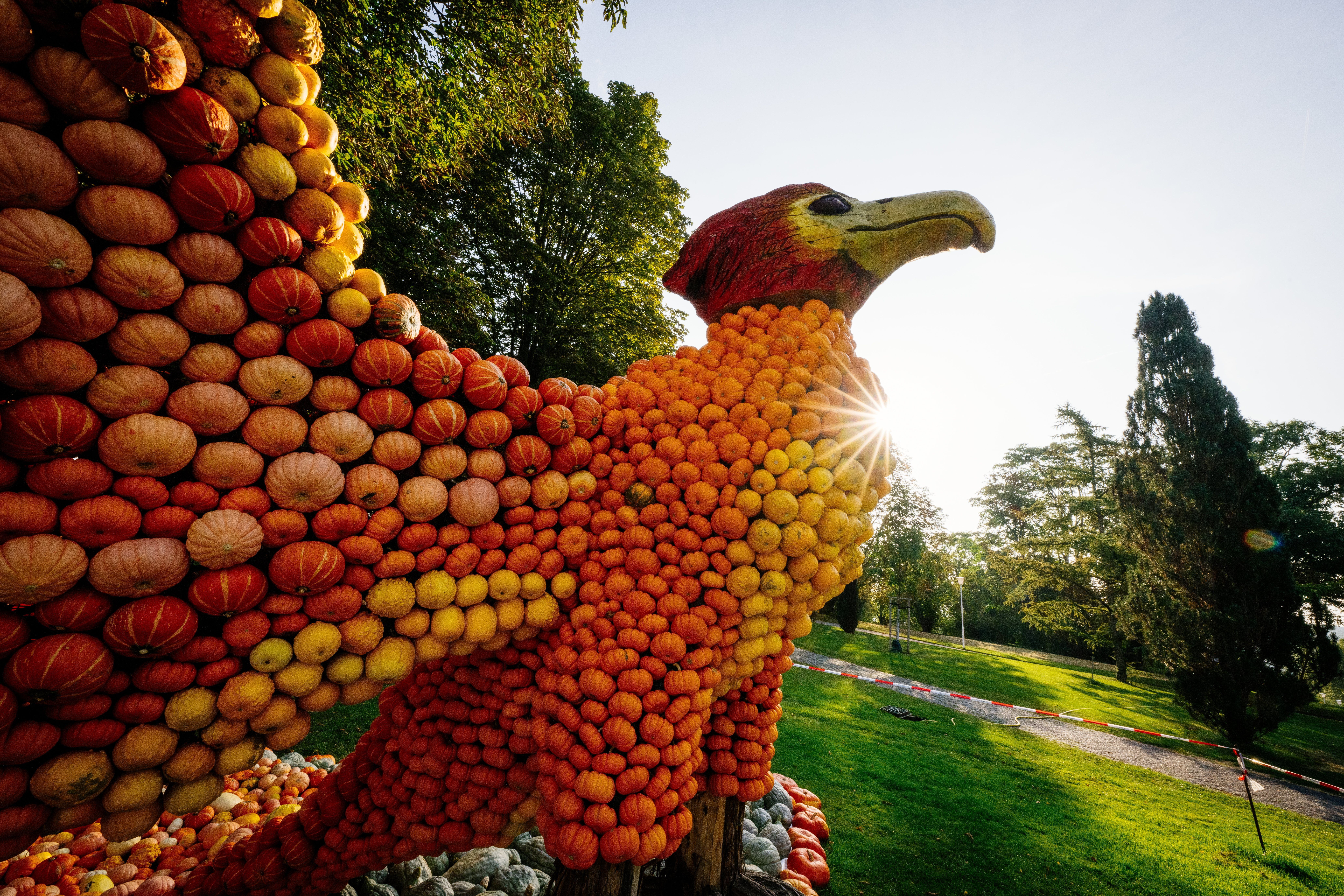 Adler aus Kürbissen im egapark Erfurt