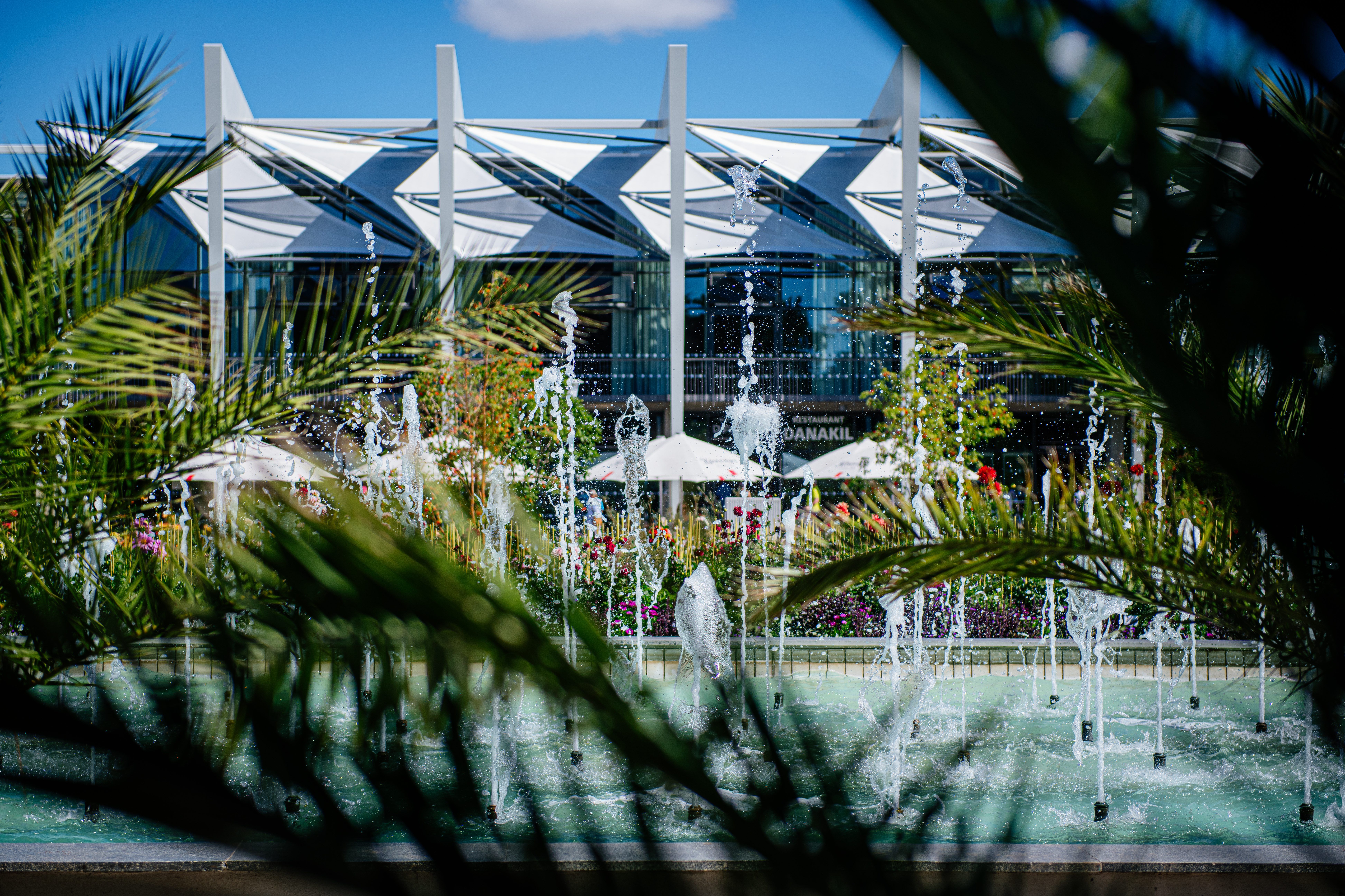 Brunnen und Glashaus hinter Palmen im egapark Erfurt