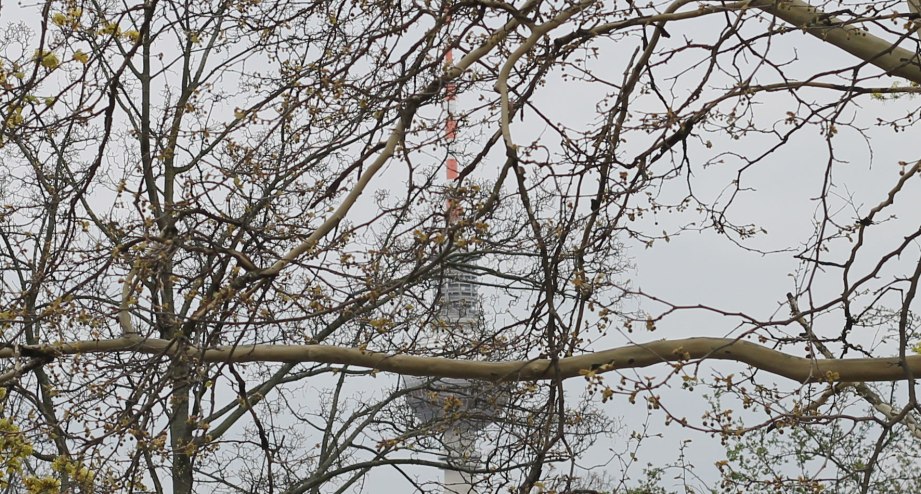Aussicht auf den Fernsehturm bei der Kieztour in Prenzlauer Berg mit Urban Bike Tours. - BAHNHIT.DE, © visitBerlin: Nina Richter