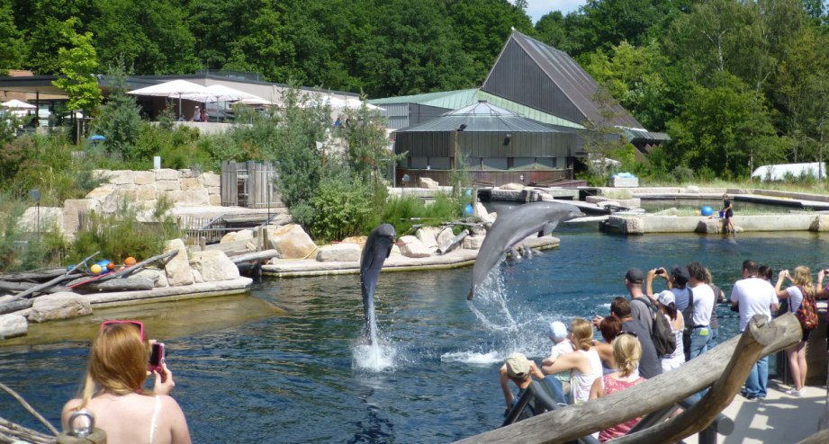 Die Delphinlagune im Tiergarten Nürnberg. - BAHNHIT.DE, © Kristina Schroll