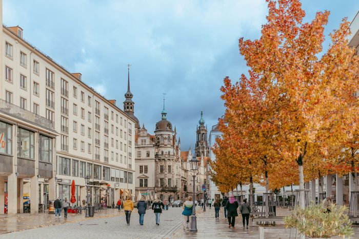 Spaziergänger in einer Straße mit orangenen Bäumen in Dresden bei Regen