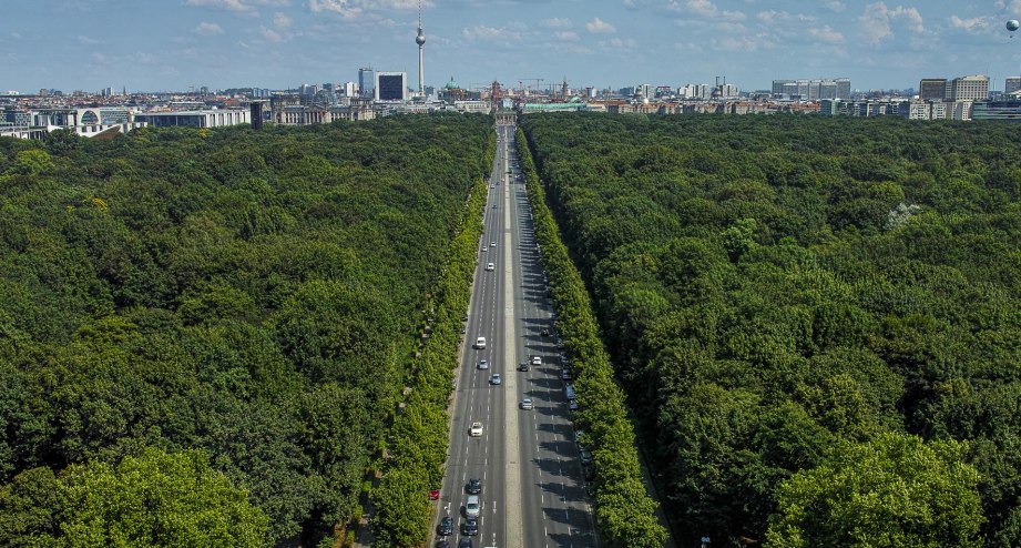 Blick von der Siegessäule über die Baumwipfel des grünen Berliner Tiergartens Richtung Brandenburger Tor - BAHNHIT.DE, © Foto: Sven Christian Schramm