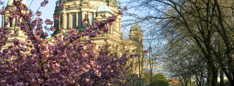 HeroImage_Berlin-Fruehling-Dom, © iStock