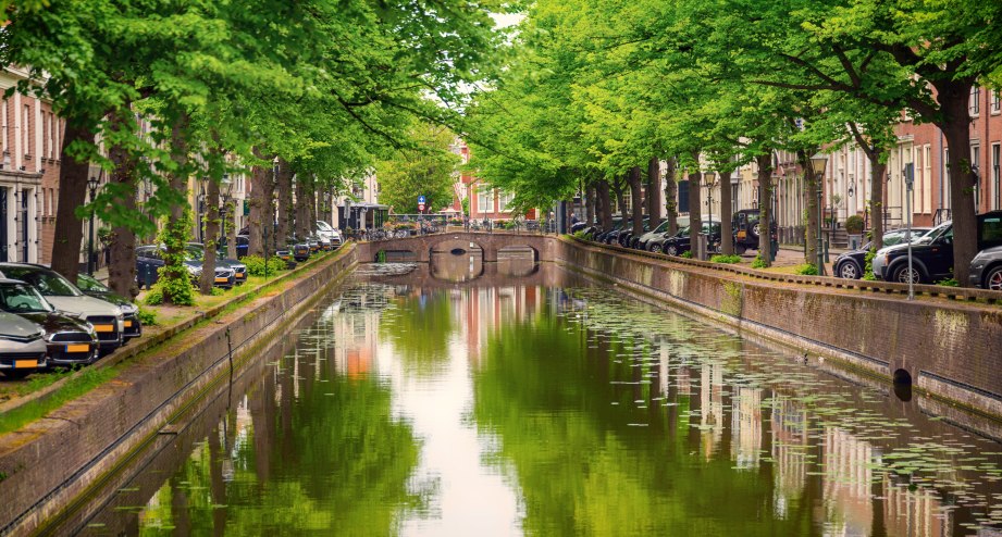 Den Haag Kanal Bäume, © Getty Images George Pachantouris