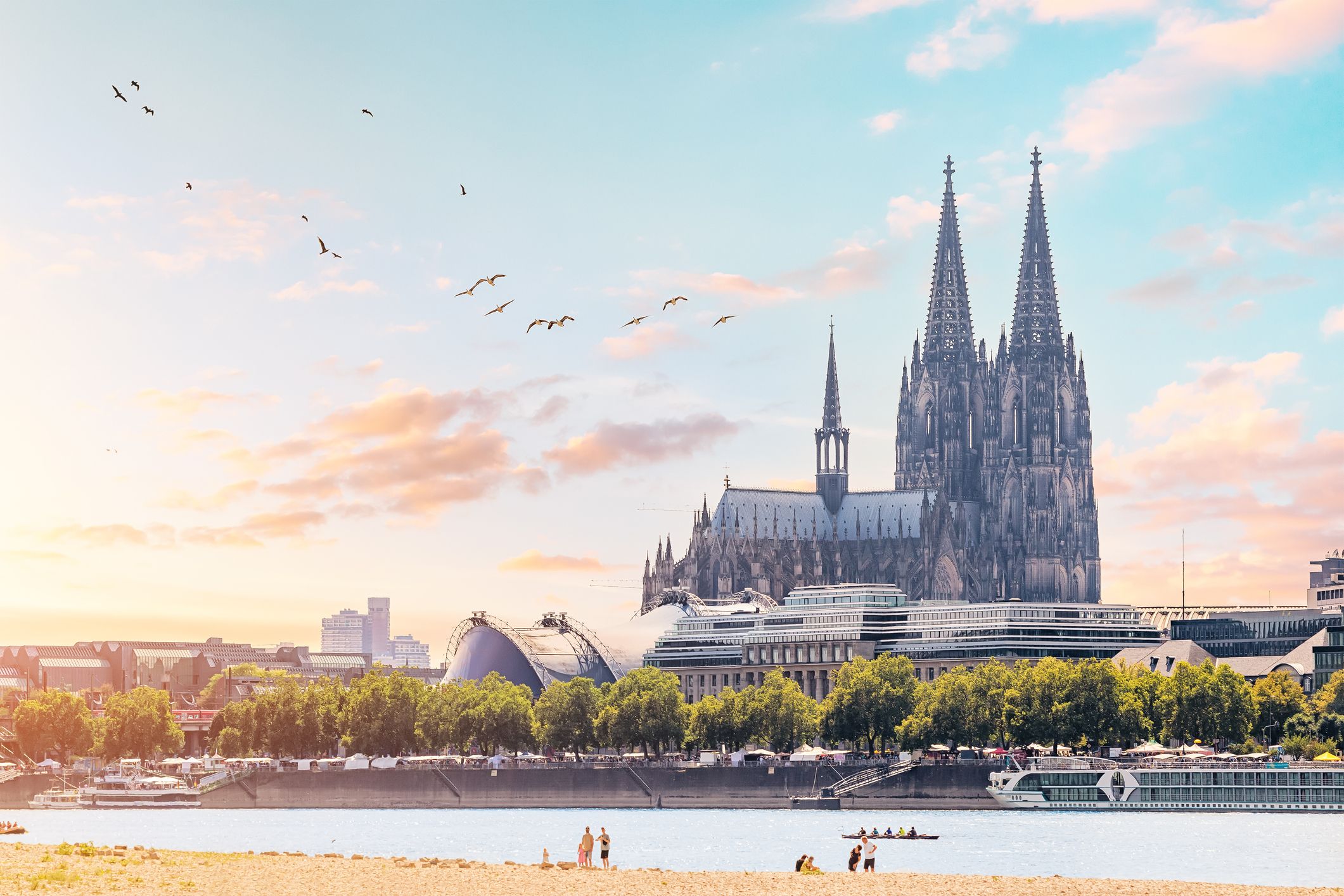 Kölner Dom bei buntem Himmel und Vögeln, davor das Rheinufer mit Bäumen