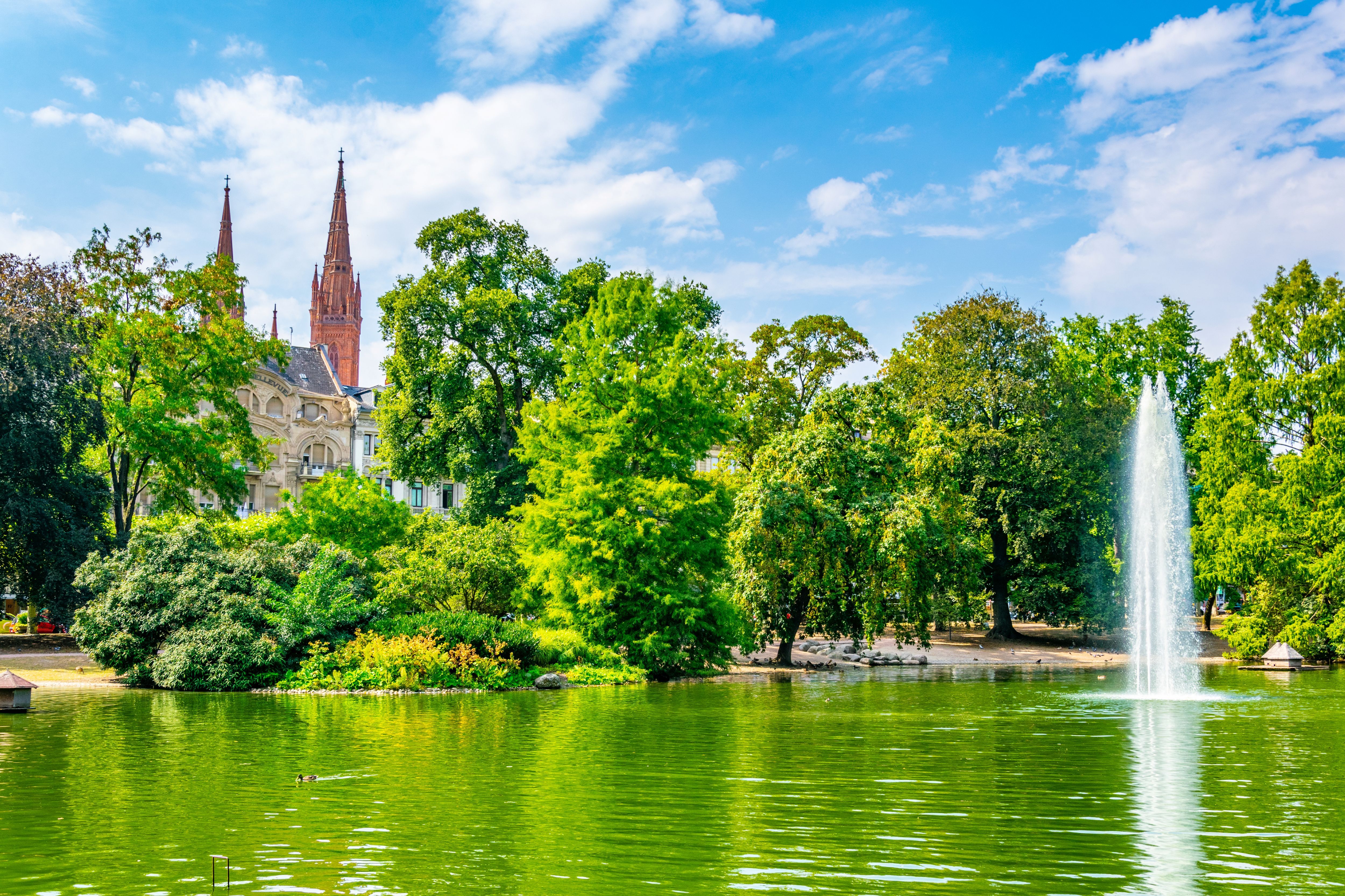 Bäume und Teich im Kurpark in Wiesbaden bei blauem Himmel