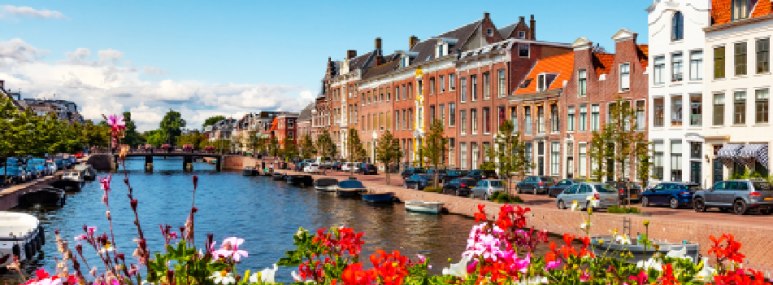 QuickSearch Holland-Haarlem, © GettyImages, Oleksiy Mark