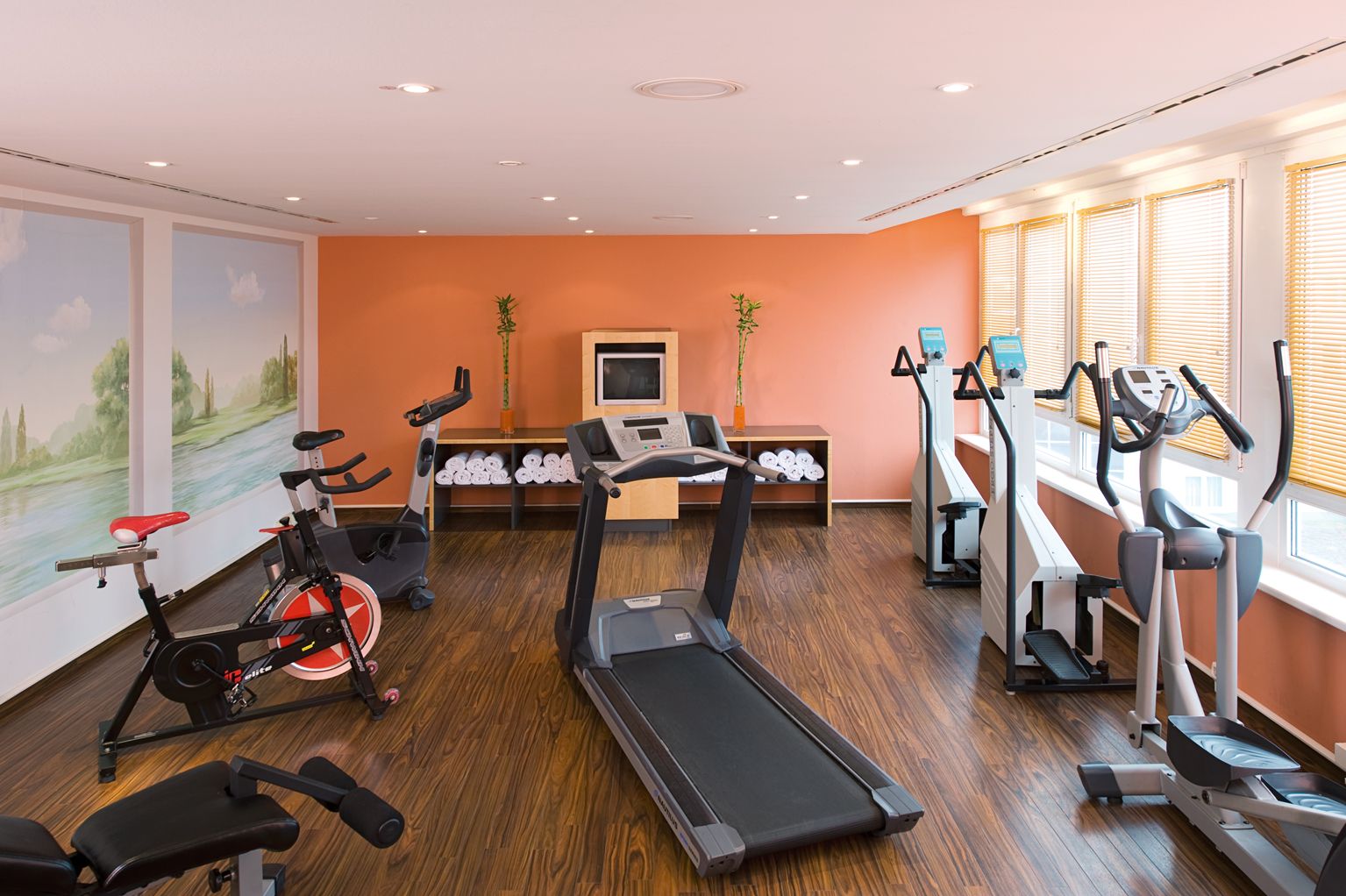 Fitness