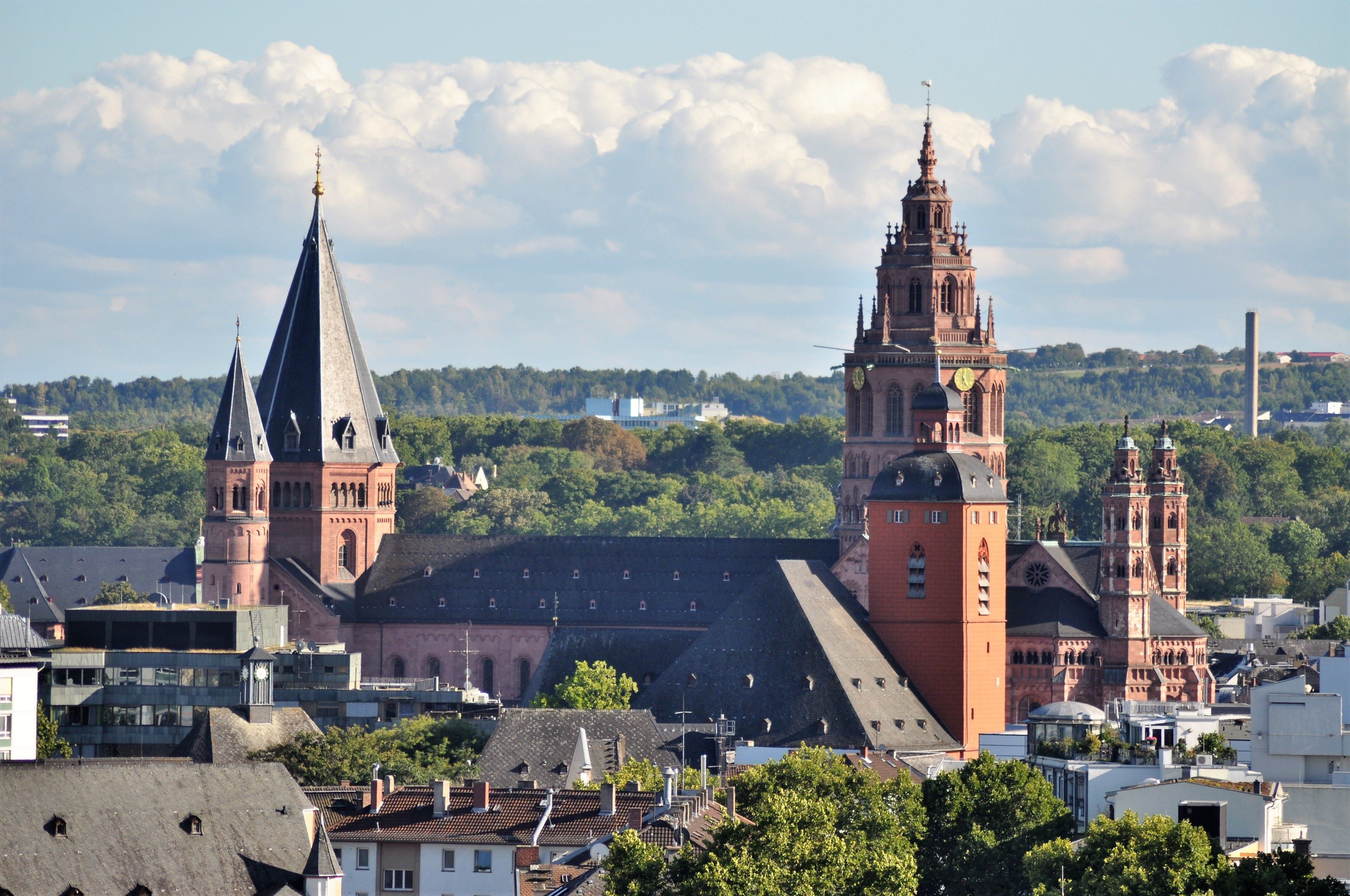 Blick auf Dom St. Martin