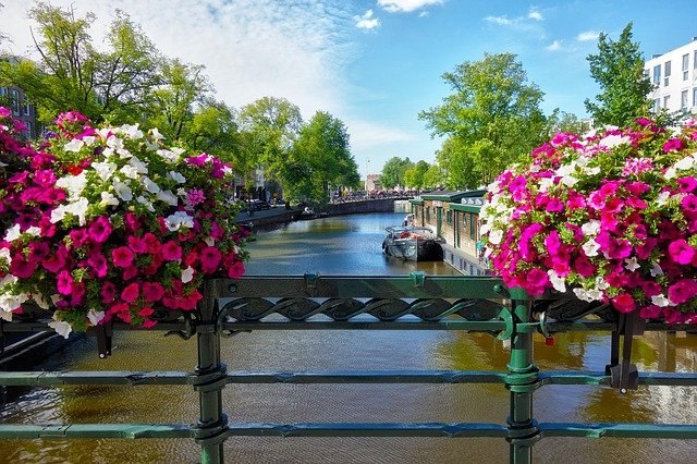 Bahnhit Amsterdam Brücke Blume, © pixabay
