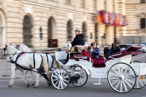 Wien und Kunst, © Pexels