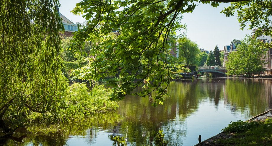 Bahnhit Amsterdam Vondelpark/See, © gettyimages Paul Crudgington/EyeEm
