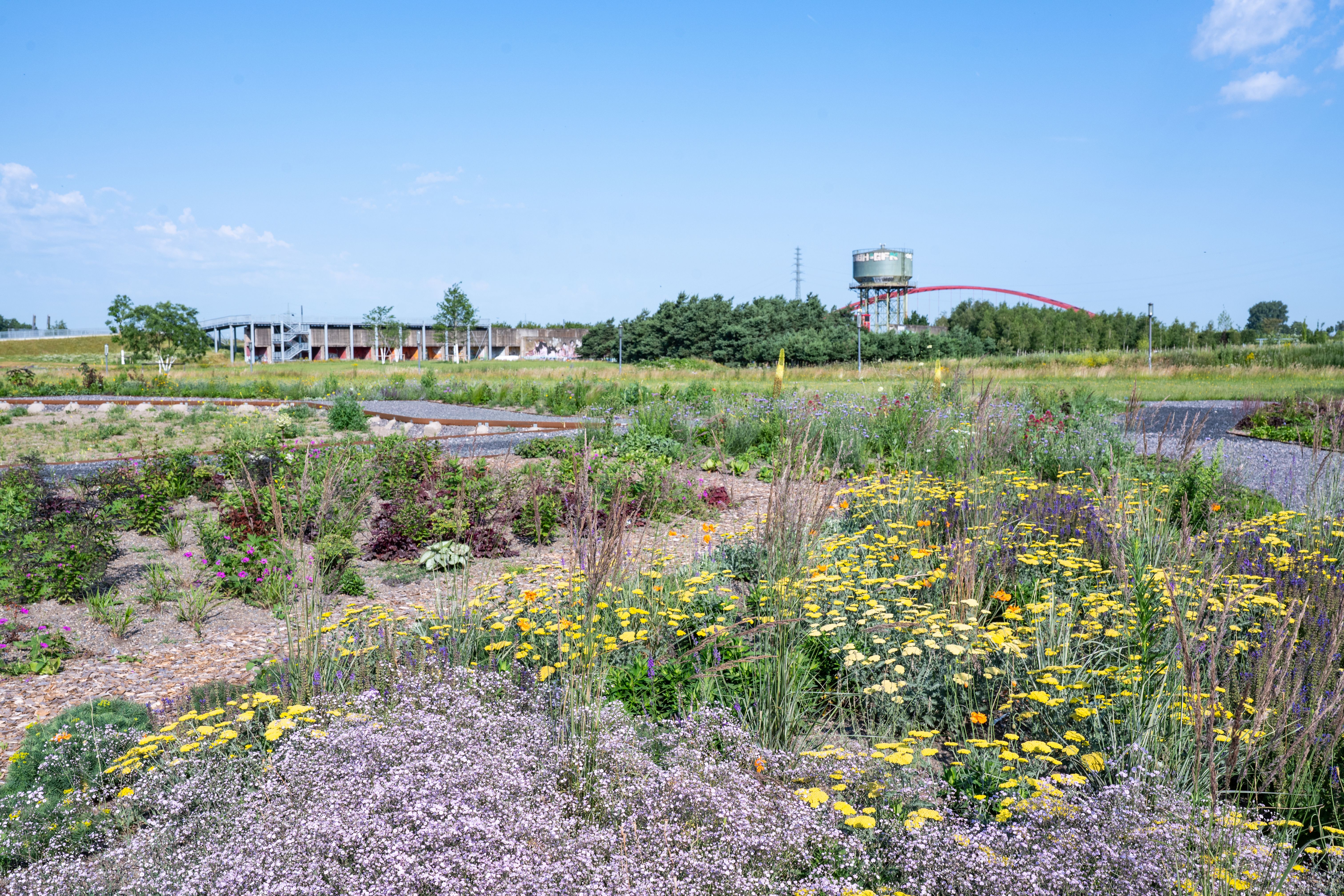 Weg im Zukunftsgarten Duisburg