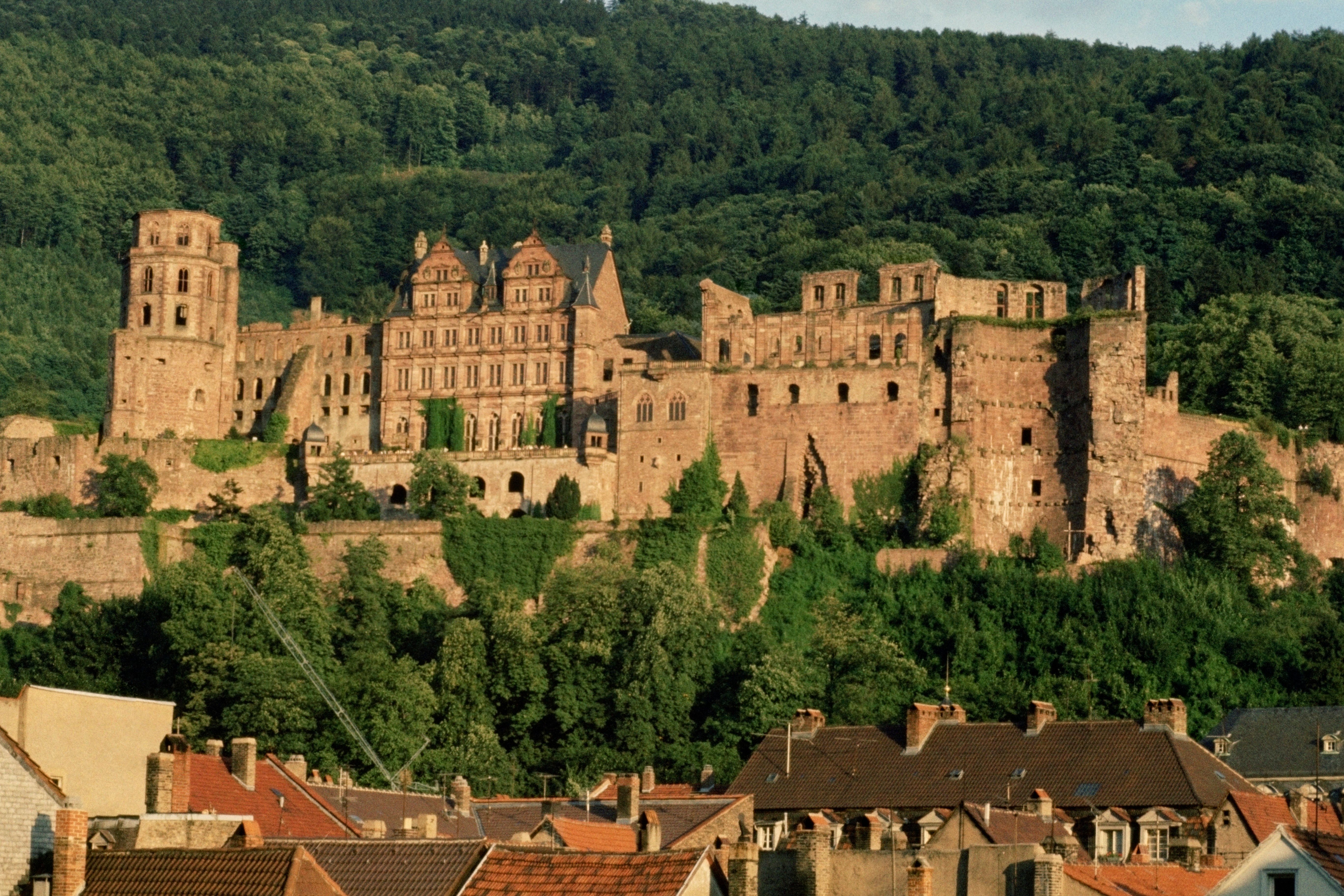 Heidelberger Schloss im Grünen