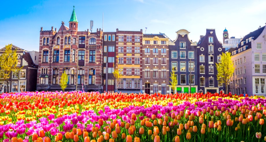 Amsterdam-Tulpen-bunt, © GettyImages, Olena Znak