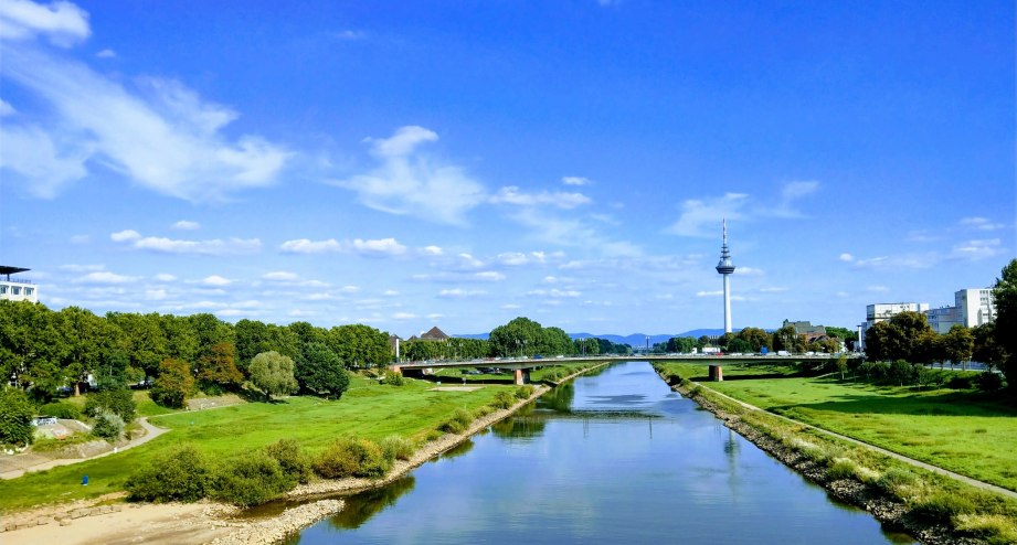 Sommerliche Landschaftsaufnahme der Mannheimer Neckarwiesen - BAHNHIT.DE, © getty, Foto: Uwe E. Roth / EyeEm