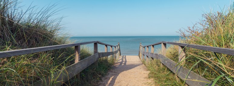 Dünen am Ostseestrand. - BAHNHIT.DE, © getty, Foto: rclassenlayouts