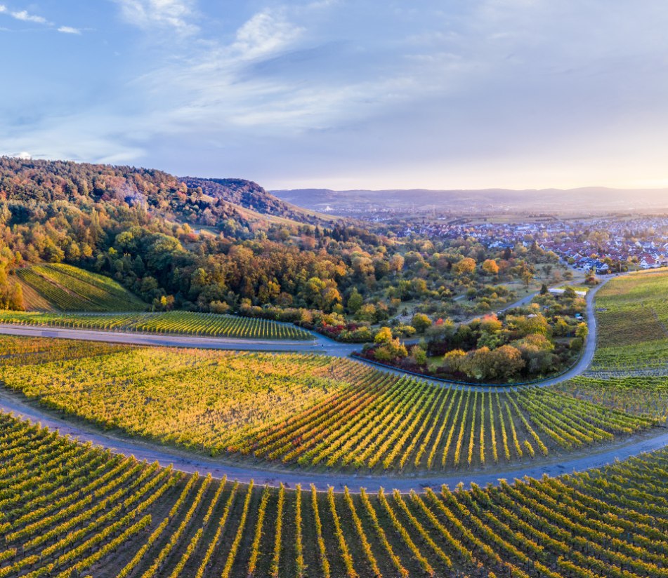 Weinberge in Baden-Württemberg. - BAHNHIT.DE, © getty, Foto: Westend61